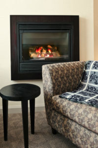 gas-insert-wood-burning-image-royal-oak-mi-fireside-hearth-and-home