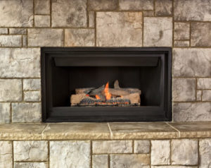 Wood, Gas, Pellet and Electric Inserts - Royal Oak MI - FireSide Hearth & Home